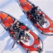 Snowshoe in the Oakdale Nature Preserve