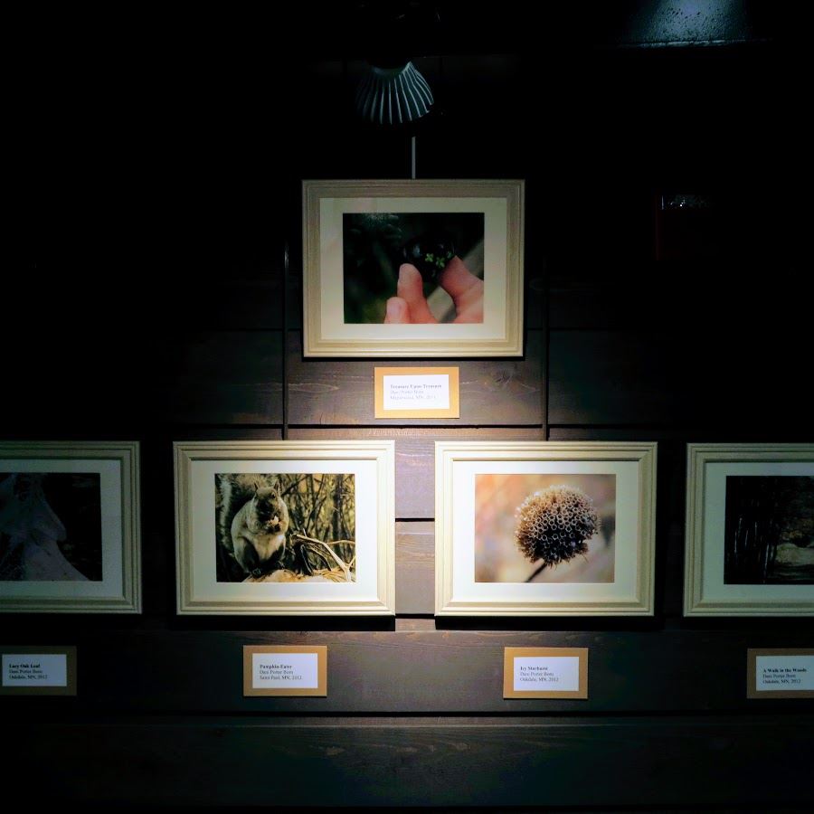 Discovery Center Art Gallery