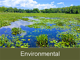 Environmental