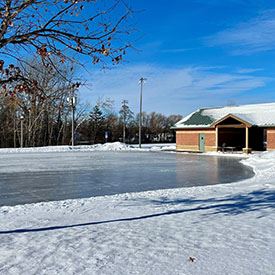 WaltonPleasurerink2026